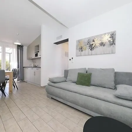 Dalmatia In With Pool, Cleaning Included * Preko